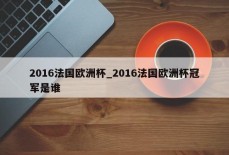 2016法国欧洲杯_2016法国欧洲杯冠军是谁