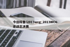 今日科普!2013wcg_2013WCG逆战总决赛