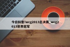 今日科普!wcg2013总决赛_wcg2013世界冠军