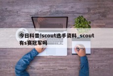 今日科普!scout选手资料_scout有s赛冠军吗