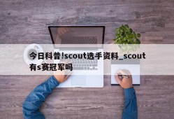 今日科普!scout选手资料_scout有s赛冠军吗