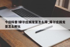 今日科普!摩尔庄园龙蛋怎么得_摩尔庄园龙蛋怎么孵化