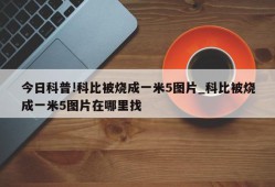 今日科普!科比被烧成一米5图片_科比被烧成一米5图片在哪里找