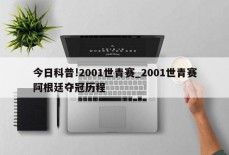 今日科普!2001世青赛_2001世青赛阿根廷夺冠历程