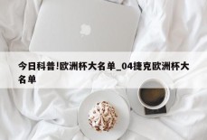 今日科普!欧洲杯大名单_04捷克欧洲杯大名单