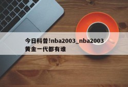 今日科普!nba2003_nba2003黄金一代都有谁