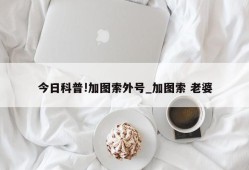 今日科普!加图索外号_加图索 老婆