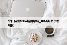 今日科普!nba斯图尔特_NBA斯图尔特现状