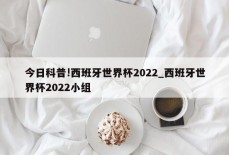 今日科普!西班牙世界杯2022_西班牙世界杯2022小组