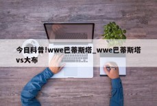 今日科普!wwe巴蒂斯塔_wwe巴蒂斯塔vs大布