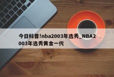 今日科普!nba2003年选秀_NBA2003年选秀黄金一代