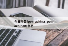 今日科普!porrachina_porrachina的意思