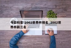 今日科普!2002世界杯排名_2002世界杯前三名