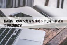 杨威陈一冰等人为肖若腾鸣不平_陈一冰说肖若腾就是冠军