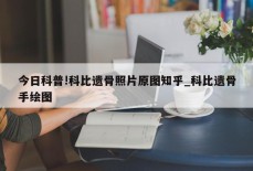 今日科普!科比遗骨照片原图知乎_科比遗骨手绘图