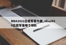 NBA2022总冠军晋升图_nba2020总冠军是哪个球队